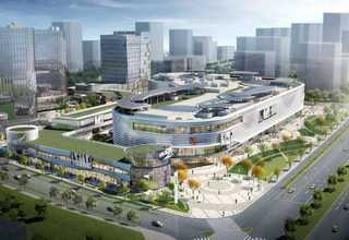 本地城镇绿化苗售价